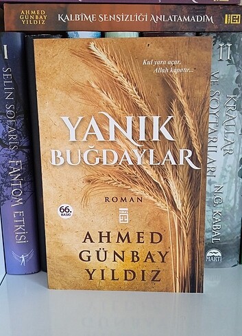 Yanık buğdaylar 