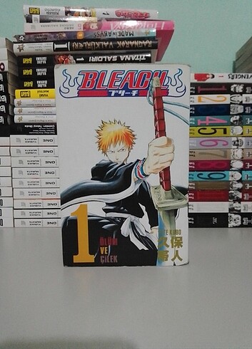 Bleach Cilt 1