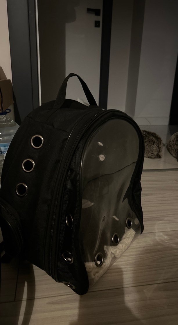 Siyah Şeffaf Evcil Hayvan Taşıma Çantası - Görsel 2