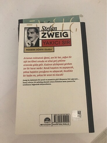 Beden Renk Modern dünya klasikleri stefan zweig