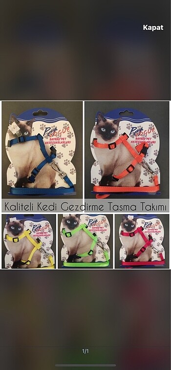 Kedi gezdirme tasması