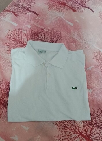 Erkek polo yaka tişört