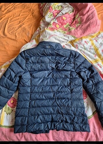 m Beden Tommy hilfiger mont unisex