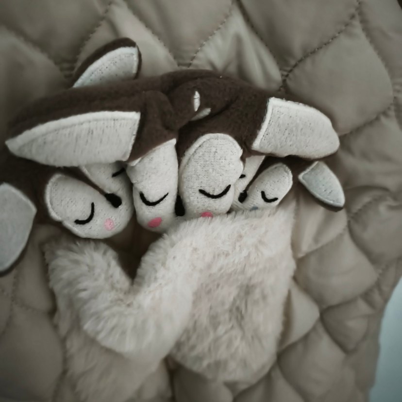 2yas tulum - Görsel 2