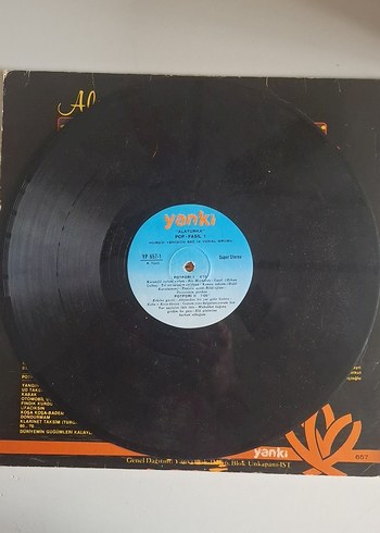 Alaturka Pop-Fasıl Müzik Plak Albümü - Görsel 8