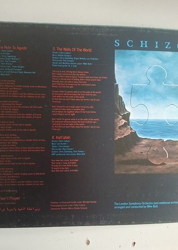 Mike Batt Schizophonia Puzzle plak - Görsel 4