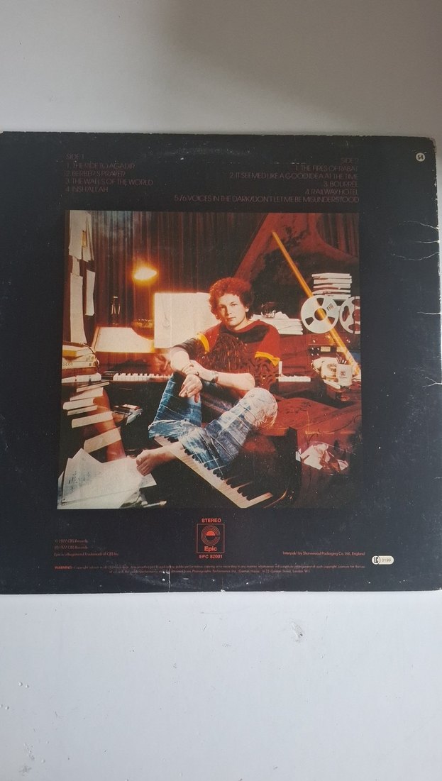 Mike Batt Schizophonia Puzzle plak - Görsel 2