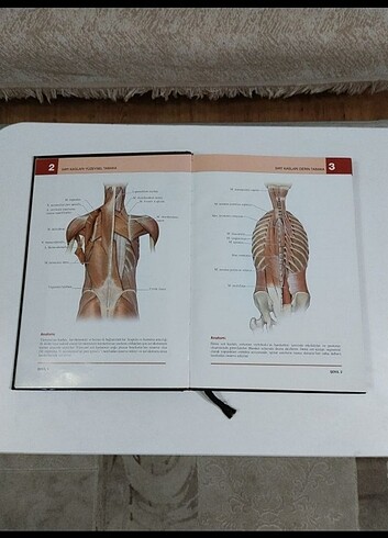 Morton İnsan anatomi atlası  - Görsel 3