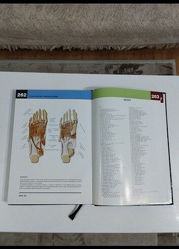 Morton İnsan anatomi atlası  - Görsel 5