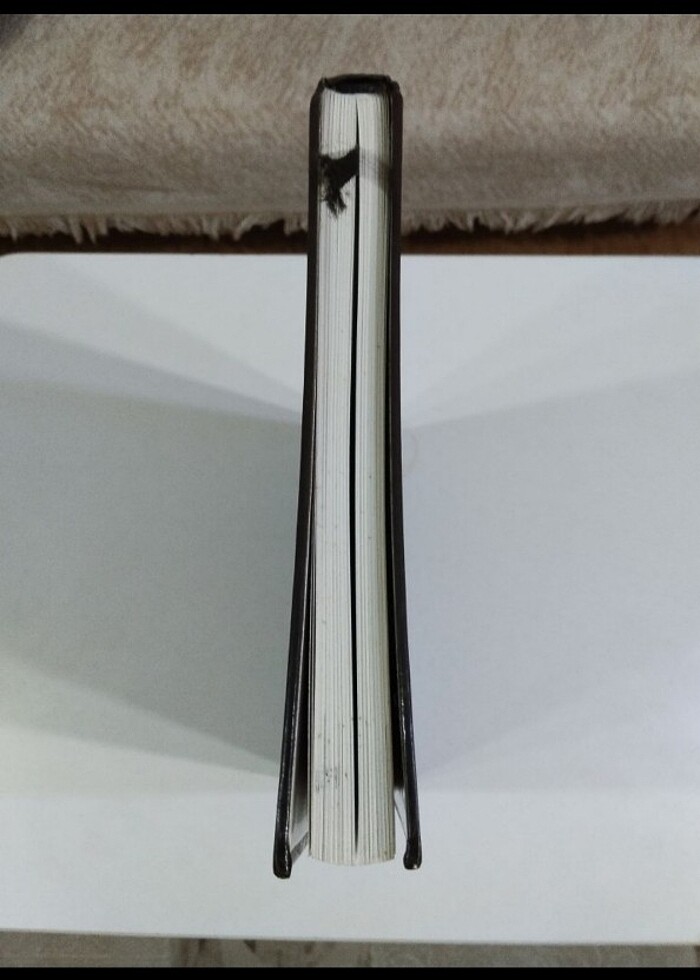 Morton İnsan anatomi atlası  - Görsel 4