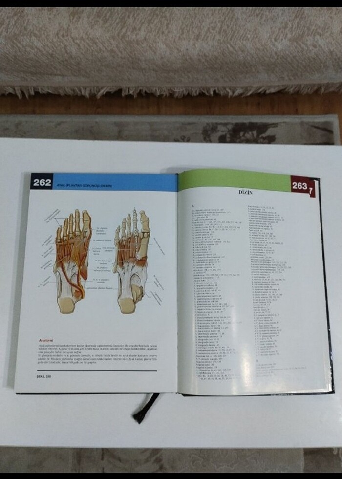 Morton İnsan anatomi atlası  - Görsel 5