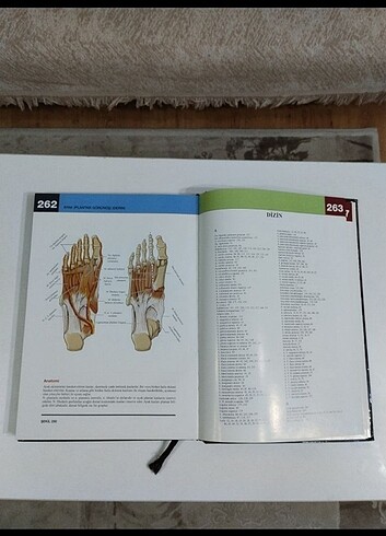 Tıp terimleri sözlüğü  - Görsel 4