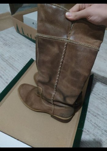 Timberland 40