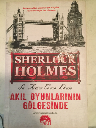 Diğer Kitap roman