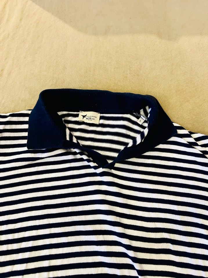 ALTINYILDIZ Erkek Lacivert Çizgili Polo Tişört - Görsel 2