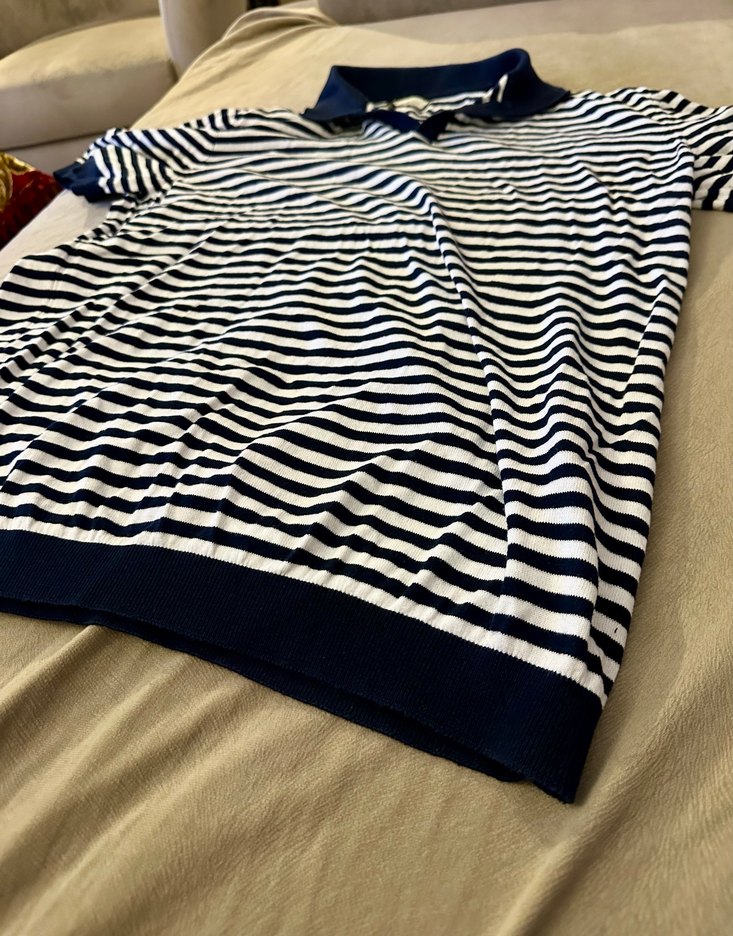 ALTINYILDIZ Erkek Lacivert Çizgili Polo Tişört - Görsel 4