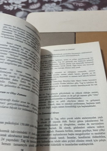 Gri Kedi Aksesuarı Kitap Kapağı - Görsel 3