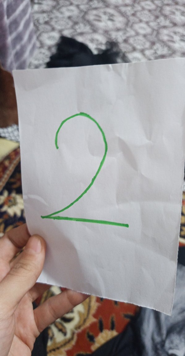 Aslan Baskılı Uzun Kesim Kadın Mayo - Görsel 3