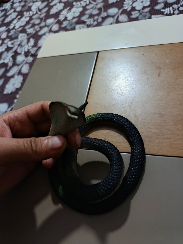 plastik yılan - Görsel 2