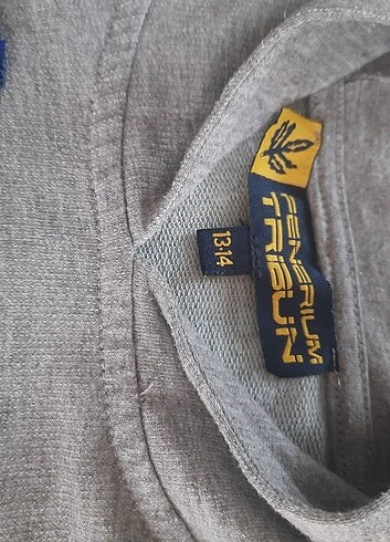 m Beden gri Renk Fenerium Fenerbahçe sweatshirt