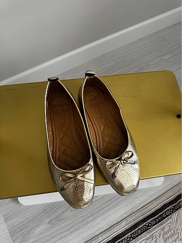 Diğer Gold babet