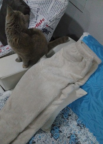 Kadın Bej Peluş Rahat Eşofman Altı - Görsel 7