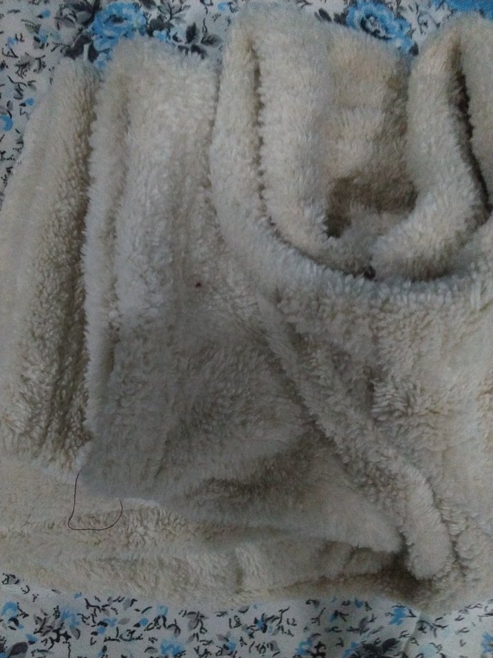 Kadın Bej Peluş Rahat Eşofman Altı - Görsel 5