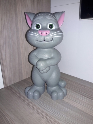 tom kedi