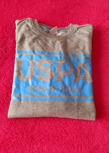 Gri Erkek Çocuk Sweatshirt USPA Baskılı - Görsel 5