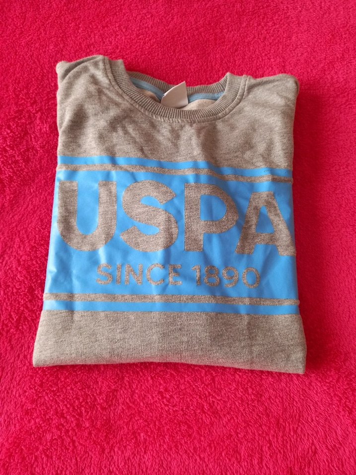 Gri Erkek Çocuk Sweatshirt USPA Baskılı - Görsel 5