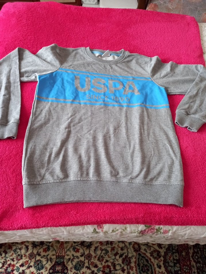 Gri Erkek Çocuk Sweatshirt USPA Baskılı - Görsel 3