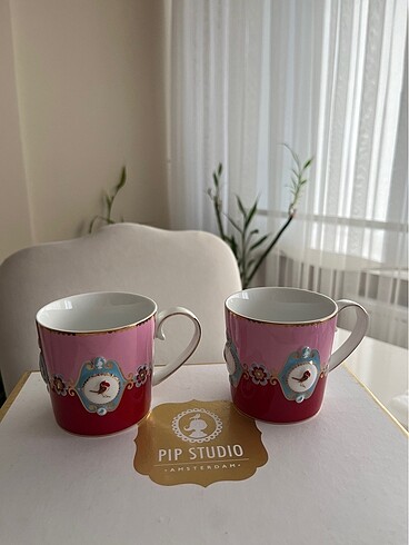Pip studip