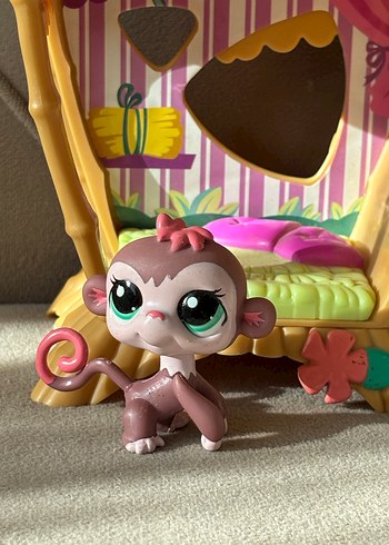 Orjinal Maymun 2469 ve Zebra Miniş - Görsel 2