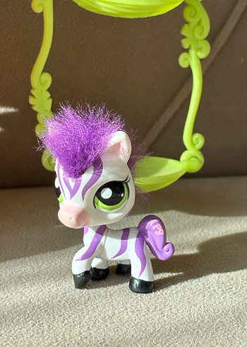 Orjinal Maymun 2469 ve Zebra Miniş - Görsel 3