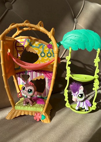 Orjinal Maymun 2469 ve Zebra Miniş - Görsel 7