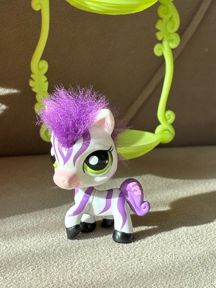 Orjinal Maymun 2469 ve Zebra Miniş - Görsel 3