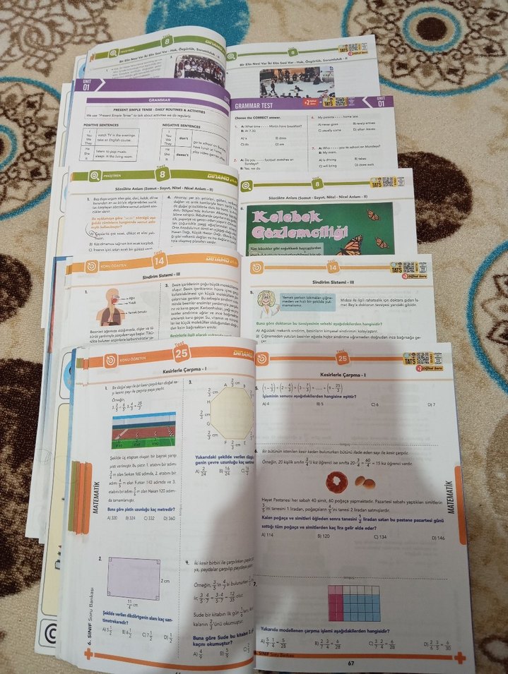 Tonguç 6. Sınıf Dinamo Soru Bankası Seti - Görsel 3