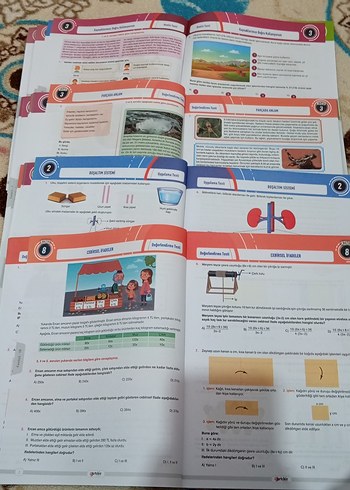 Bloom 6. Sınıf Soru Bankası Seti 32 Fasikül - Görsel 3