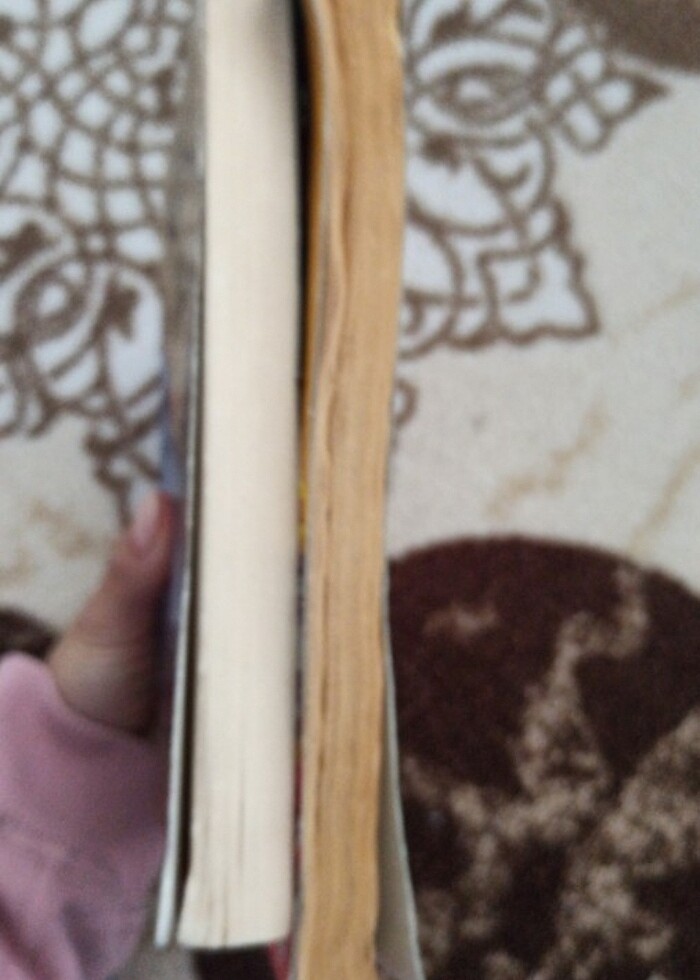 Kilit  Sizin memleketle eşek yok mu - Görsel 2