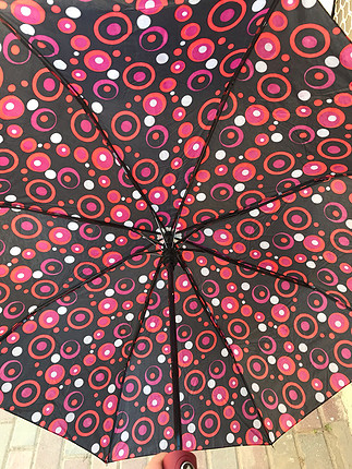 Diğer Şemsiye 