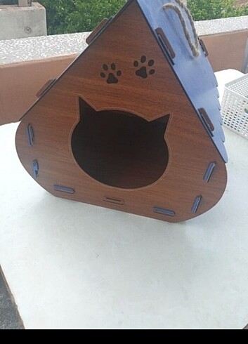 Kedi evi