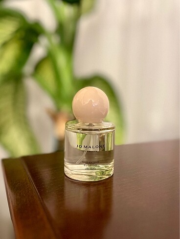 Jo Malone Osmanthus Blossom