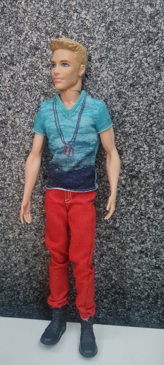 Gri saçlı oyuncak bebek kırmızı pantolonlu

Ken - Görsel 2