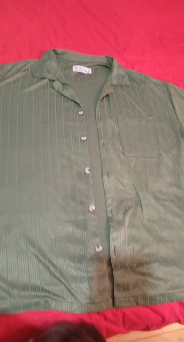 Düğmeli Kısa Kollu Erkek Yeşil Gömlek - Görsel 2