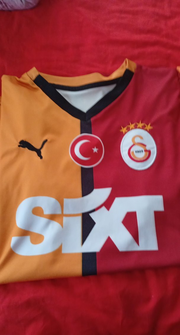 Erkek Kısa Kollu Renkli Streetwear Forma - Görsel 2