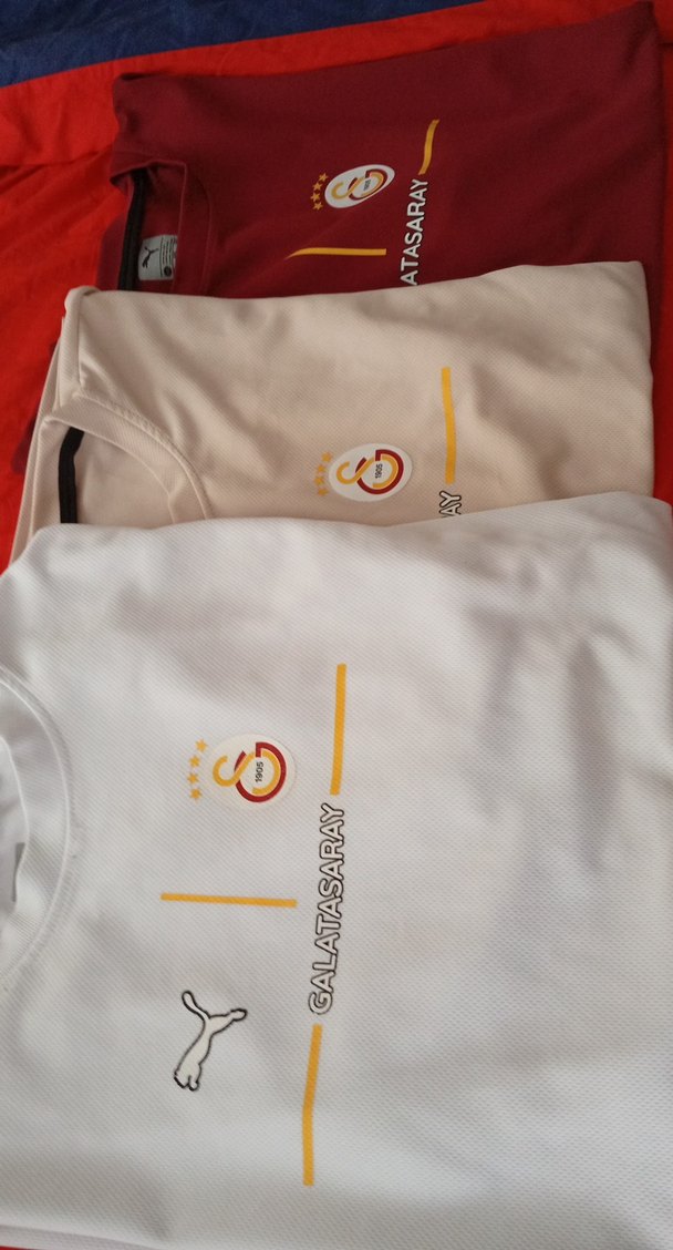 Galatasaray Erkek Kırmızı Kısa Kollu Tişört - Görsel 2