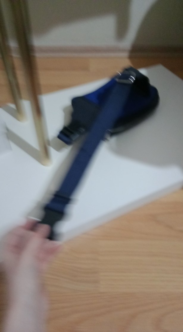 goyards Paris mavi bel çantası - Görsel 4