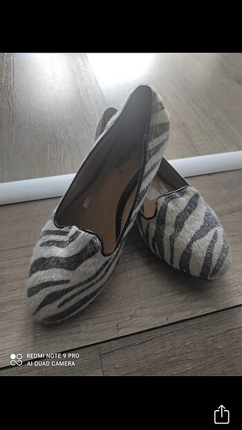 Zebra Babet