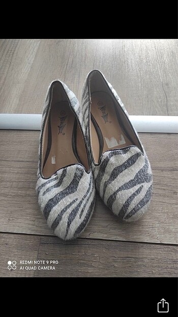 Diğer Zebra Babet