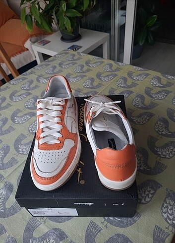 NESLİHAN CANPOLAT 37 Sneaker 
